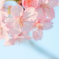 F&T🗼幫你買🧳~(日本生活好物、食品✈️)~5／27～6／4北海道連線~歡迎許願~