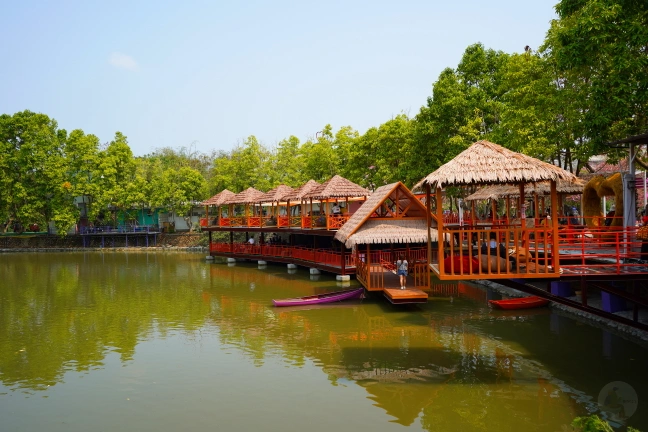 中部景點,斗六景點,斗六花旗木,近水樓台,近水樓台湖畔森林咖啡,近水樓台湖畔森林咖啡交通資訊,近水樓台湖畔森林咖啡停車場,近水樓台湖畔森林咖啡停車場花旗木,近水樓台湖畔森林咖啡門票,雲林IG打卡點,雲林景點,雲林網美景點,雲林花旗木近水樓台湖畔森林咖啡花旗木