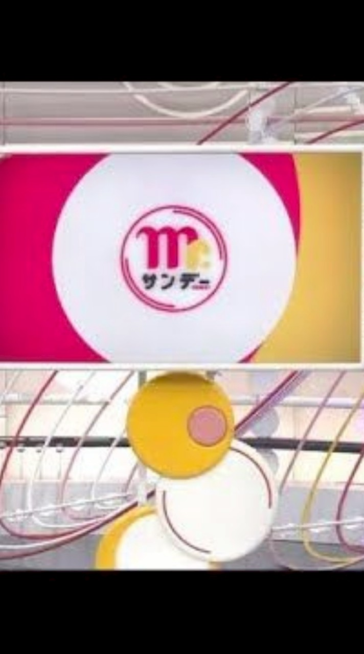 フジテレビ､情報番組　Mr.サンデー推し