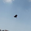 体操や運動が大好きな小中学生！会話会！