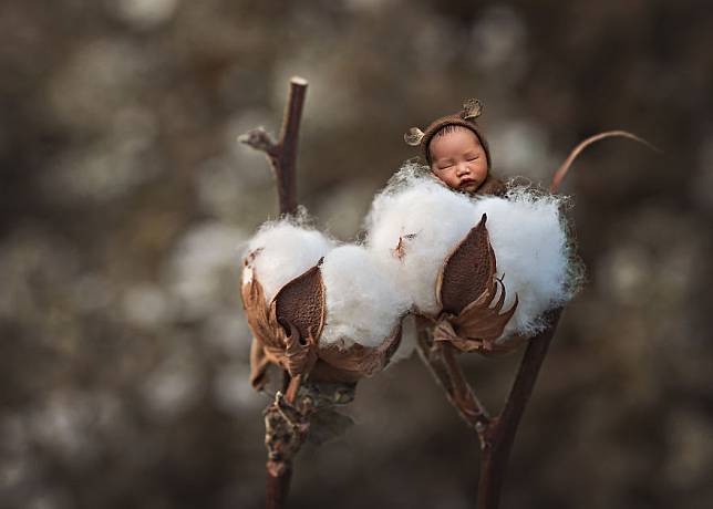 Pakai Konsep Unik: Foto-Foto Bayi Ini Bikin Gemes