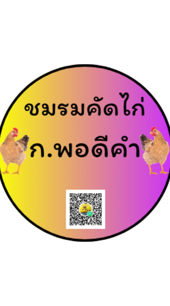 ชมรมคัดไก่ ก.พอดีคำ
