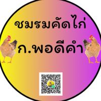 ชมรมคัดไก่ ก.พอดีคำ