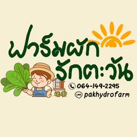🌻ฟาร์มผักรักตะวัน🥬ผักสลัดส่งตรงถึงบ้าน😊