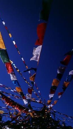 [Open Chat] Students for a Free Tibet, Japan
