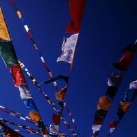 [Open Chat] Students for a Free Tibet, Japan