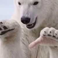ただの全緩‼️