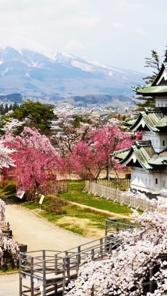 蜜思特果（當季鮮果、禮盒、零售）