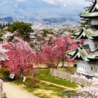 蜜思特果（當季鮮果、禮盒、零售）