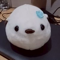 คุยเล่นกัน