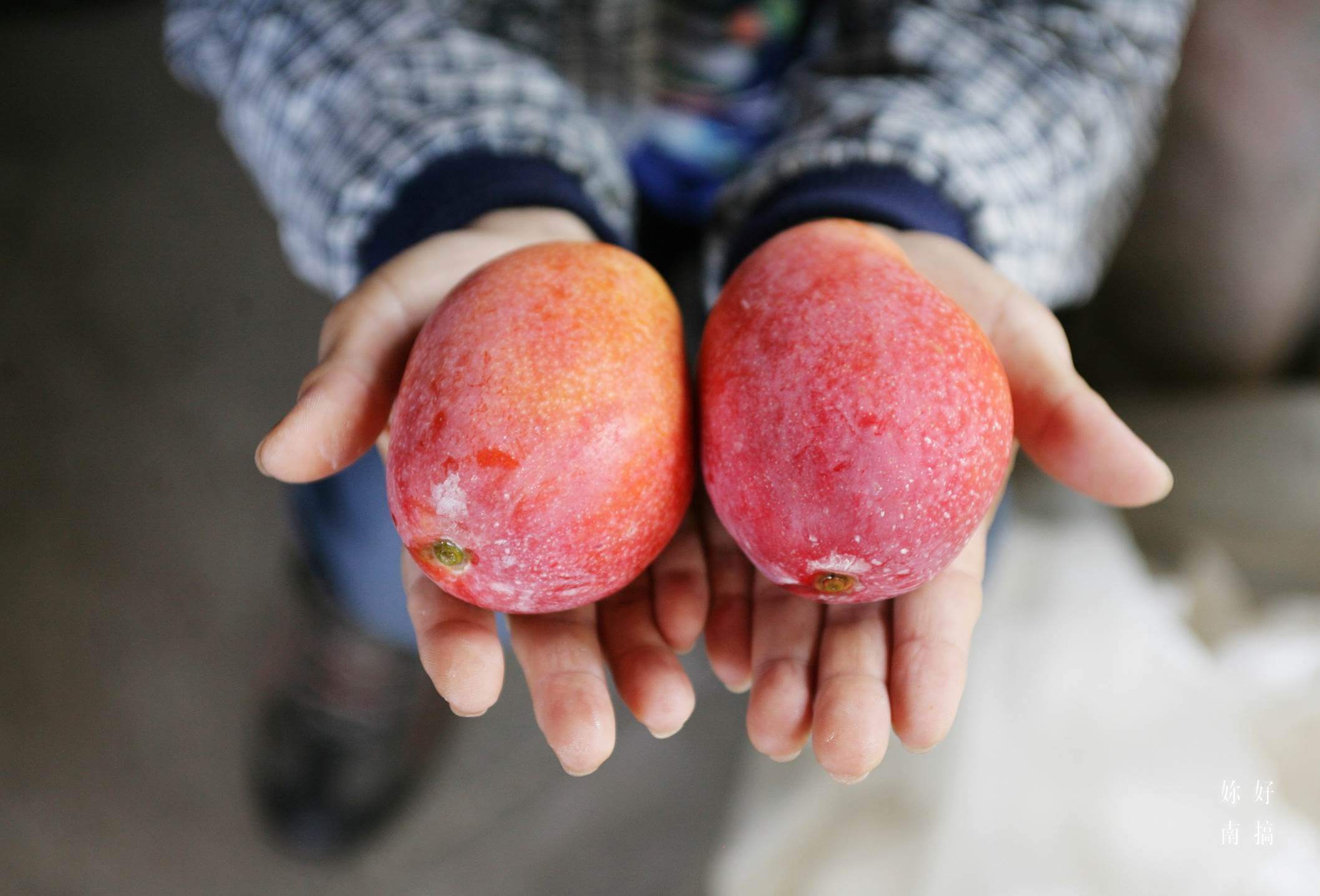 玉井景點-09-妳好南搞