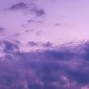 瘋狗院四樓五號房
