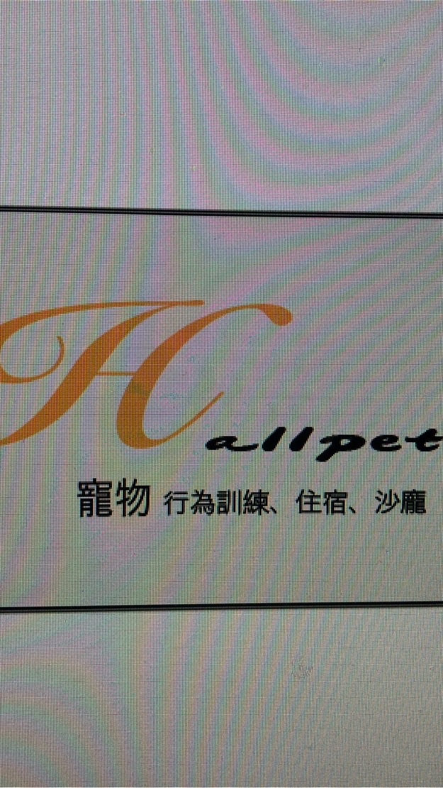 HalloPet