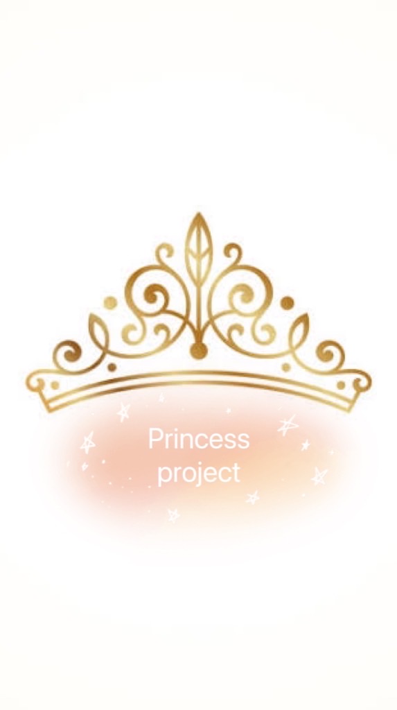 🏰Princess project👠