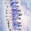 日向坂46を中心とした坂道ファンの会