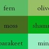 สีเขียวเด็ก 70