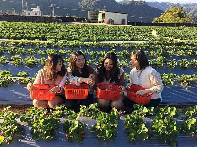 INSTAGRAM：@claudia_0414