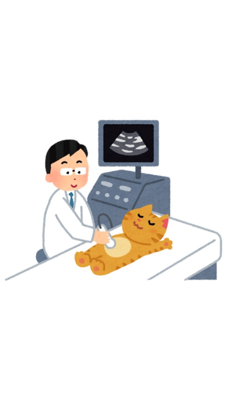 【一問一答】　超音波検査士認定試験の勉強部屋