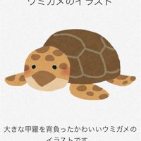 ウミガメのスープがしたいのだ！