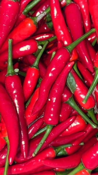 🌶️辣椒醬手作園