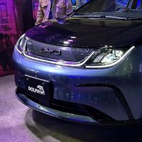 BYD dolphin club Thailand