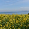 淡路島音楽グループ
