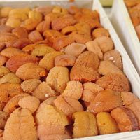 阿國水產