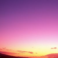 新ルール 天使の呟き