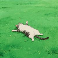 雙北百貨快閃、代班資訊✨
