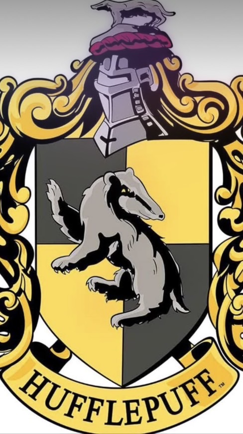 💛HUFFLEPUFF💛