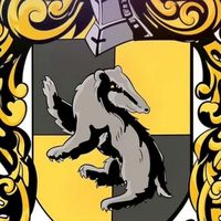 💛HUFFLEPUFF💛