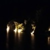 海龜煲湯館