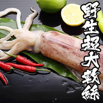 ►菲律賓海域野生超大軟絲►一捕撈急速冷凍►完整封存最佳鮮甜！清脆多汁►汆燙沾醬，好吃得停不下來►超大隻、新鮮脆甜，絕佳鮮美!