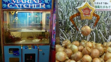 日本超獵奇的夾娃娃機 還有什麼東西不能放？
