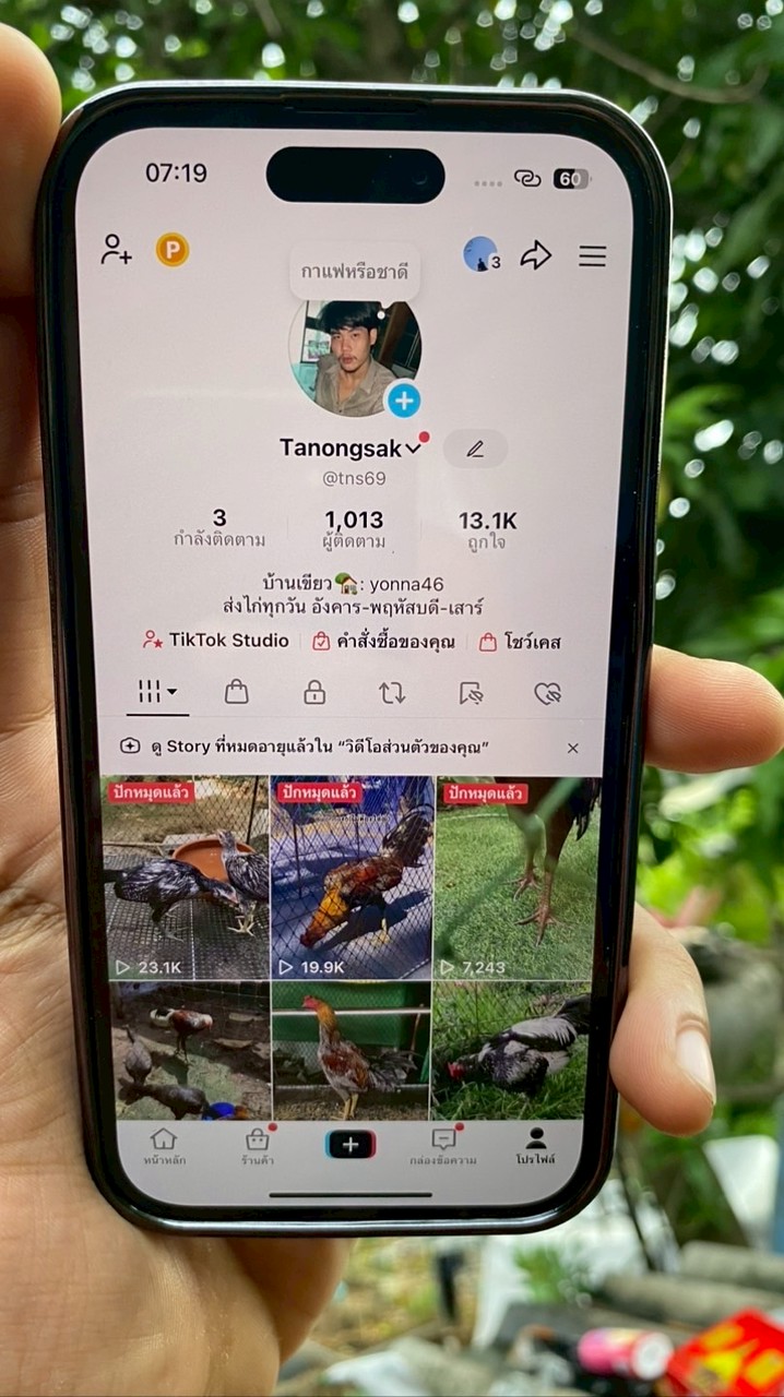 กลุ่มไก่ชน❤️