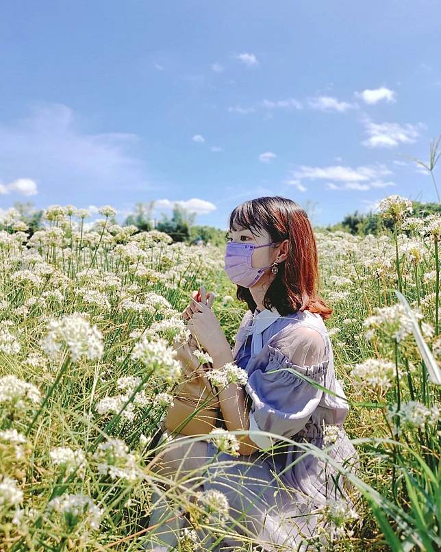 ▲大溪中新里韭菜田。（圖/IG @travel.makerrr）