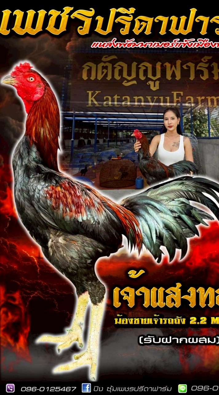 ซุ้มเพชรปรีดาฟาร์ม พิมาย