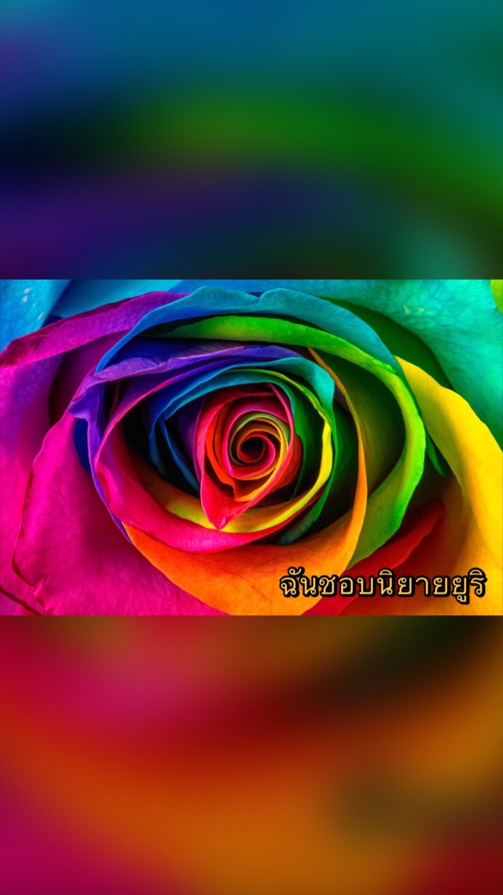 คนรักนิยายยูริ