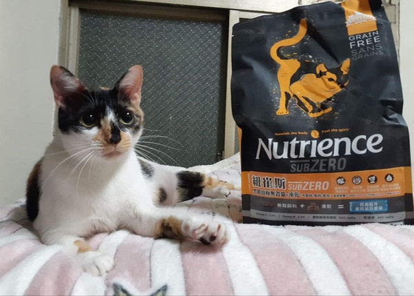 貓飼料推薦-貓奴必備紐崔斯Nutrience 頂級無穀飼料 凍乾系列 成貓無穀 火雞肉+雞肉+鮭魚 2.27kg 開箱分享