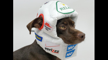 不知是貼心還是雞婆的狗勾小睡枕