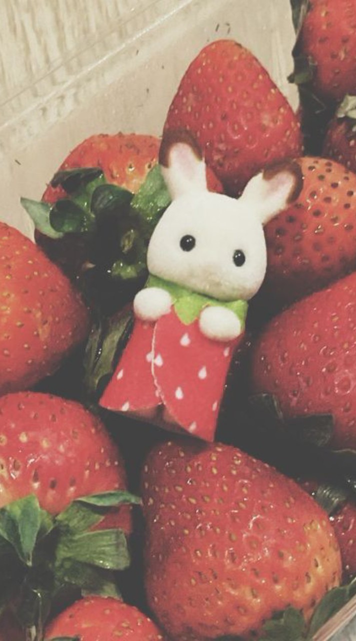 หาเพื่อนคุยเล่นสำหรับคนเหงา