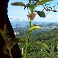 菩提道
