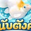 นับตังค์MollyFishFarm🐠