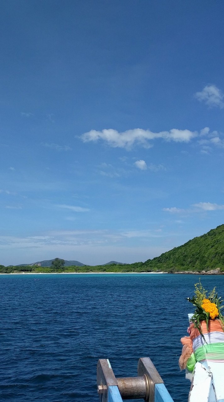 หาเพื่อนไปทริปดำน้ำ Scuba
