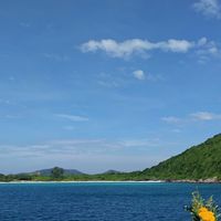 หาเพื่อนไปทริปดำน้ำ Scuba