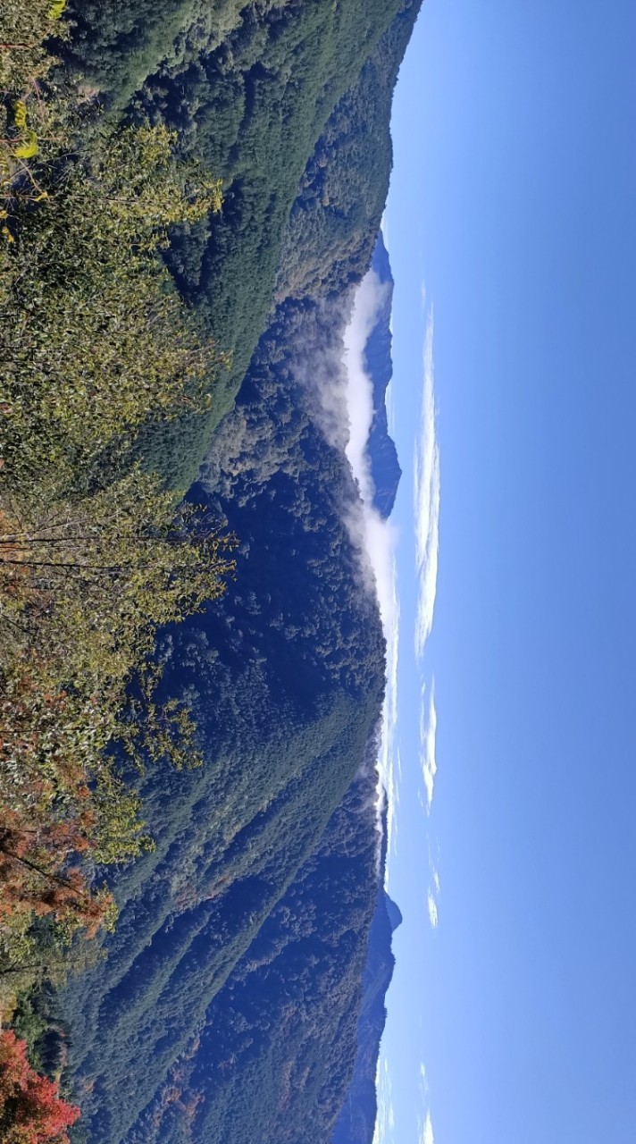 早. 午. 晚安貼圖分享. 旅遊美食音樂