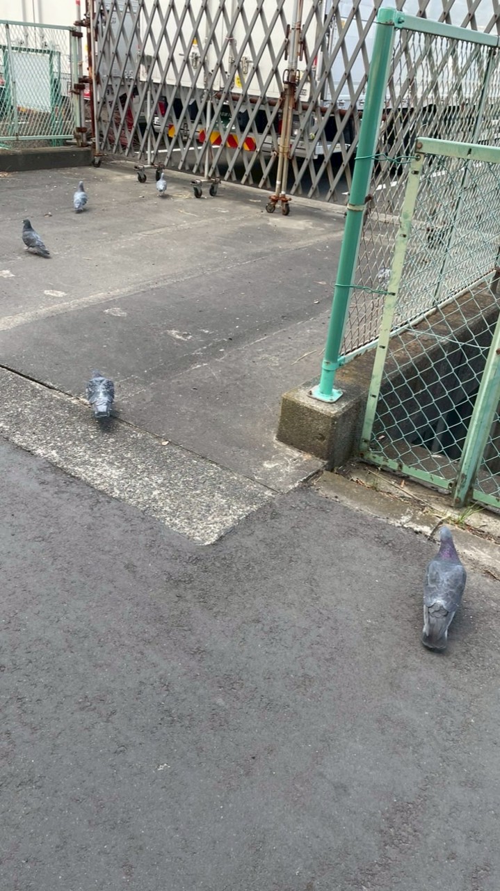 雑談しよーよ　　　　　　　　　　　　　　ディグ教支部