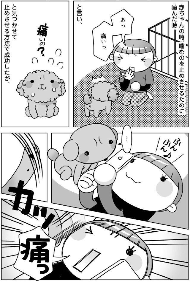 子犬のころ成功した しつけ が 大人になったトイプには逆効果 犬のおしりにしかれてます 16