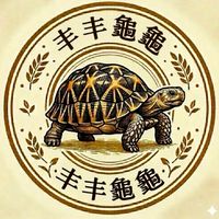 🐢丰丰龜龜🐢陸龜、兩棲爬蟲飼養交流