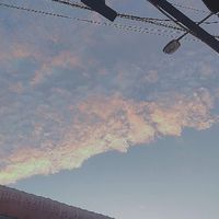 ปิงปองสีส้ม🏓🌄